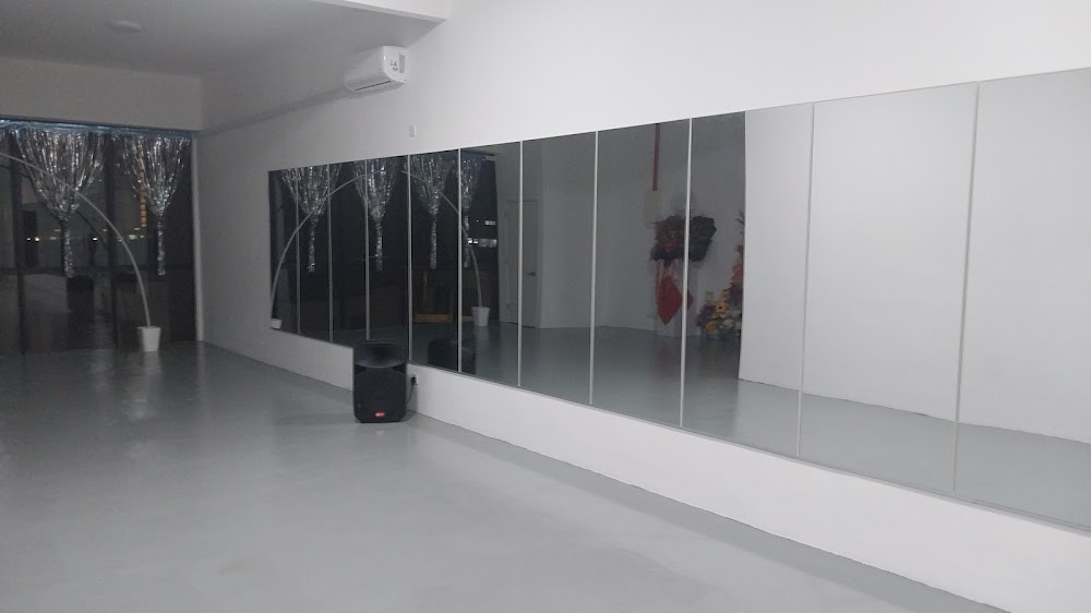 DYNAMIC DANCE STUDIO